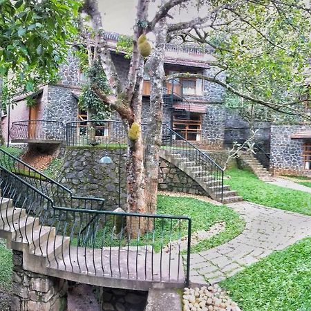 Wildernest Bed & Breakfast Текади Екстериор снимка