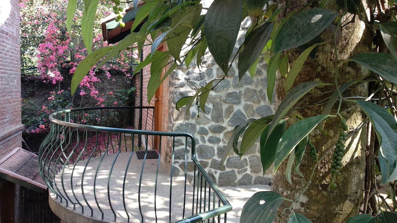 Wildernest Bed & Breakfast Текади Екстериор снимка