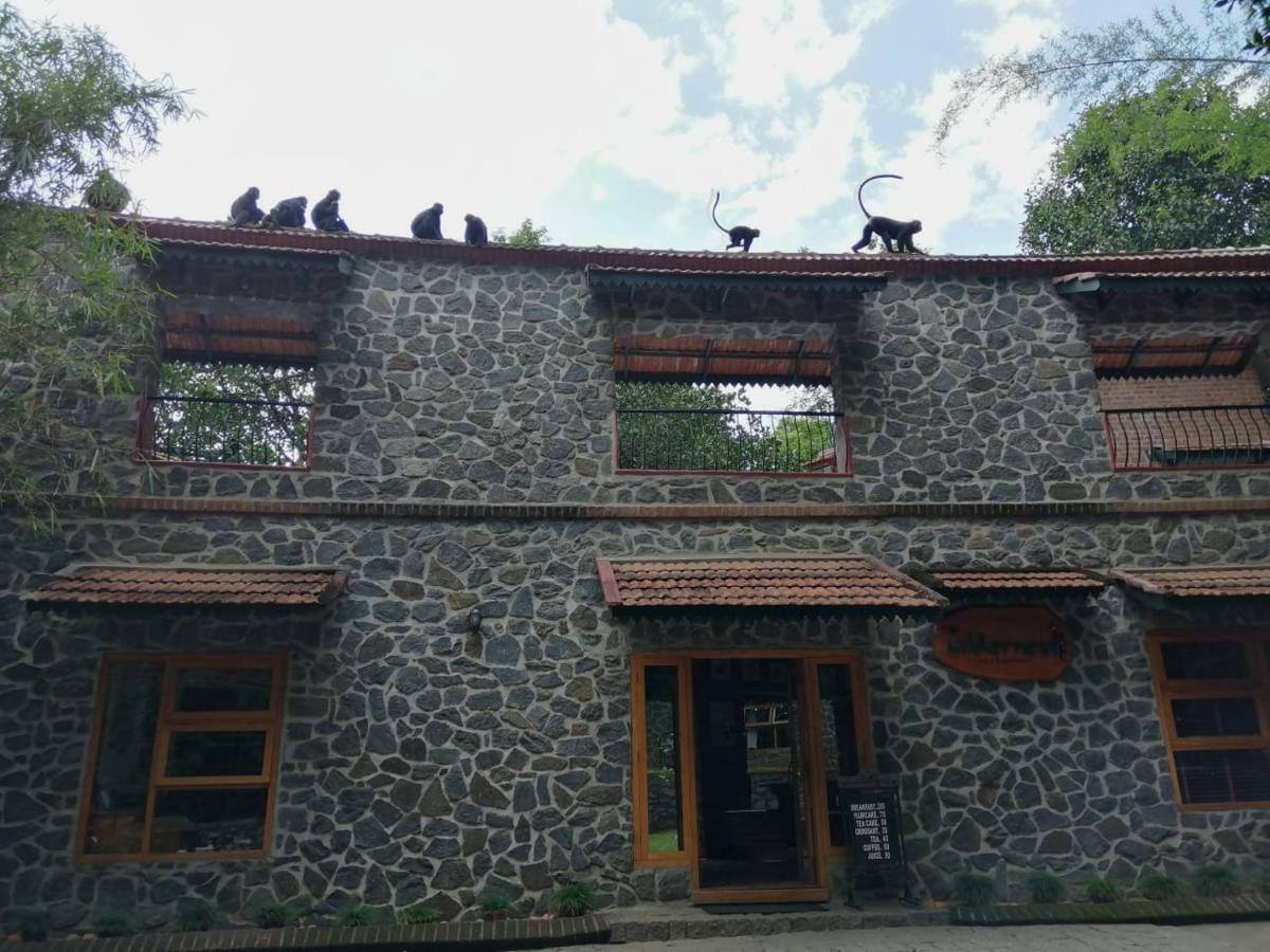 Wildernest Bed & Breakfast Текади Екстериор снимка