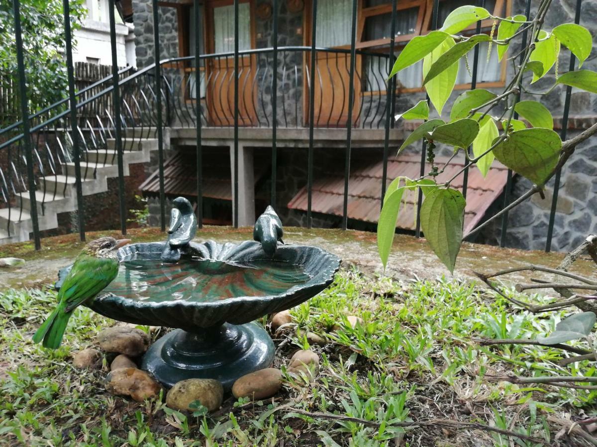 Wildernest Bed & Breakfast Текади Екстериор снимка